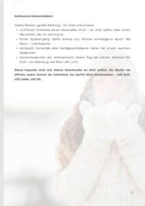 Achtsam durch den Winter (3)